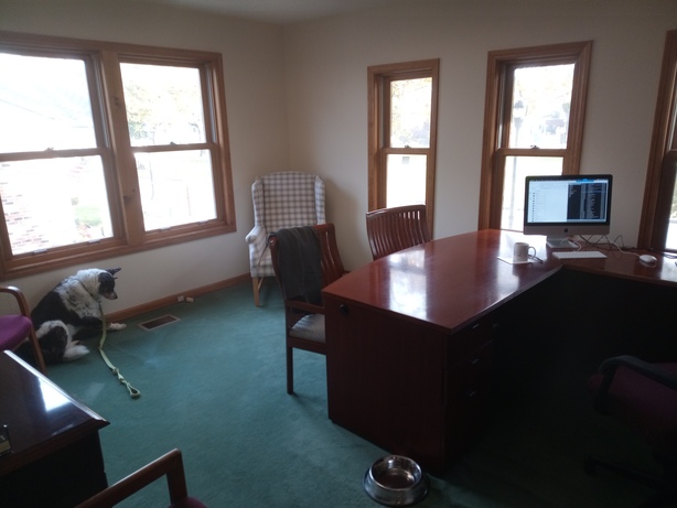 Interior of 185 Broad Street, Milford, with dog.